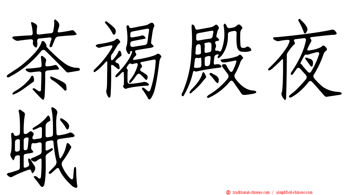 茶褐殿夜蛾