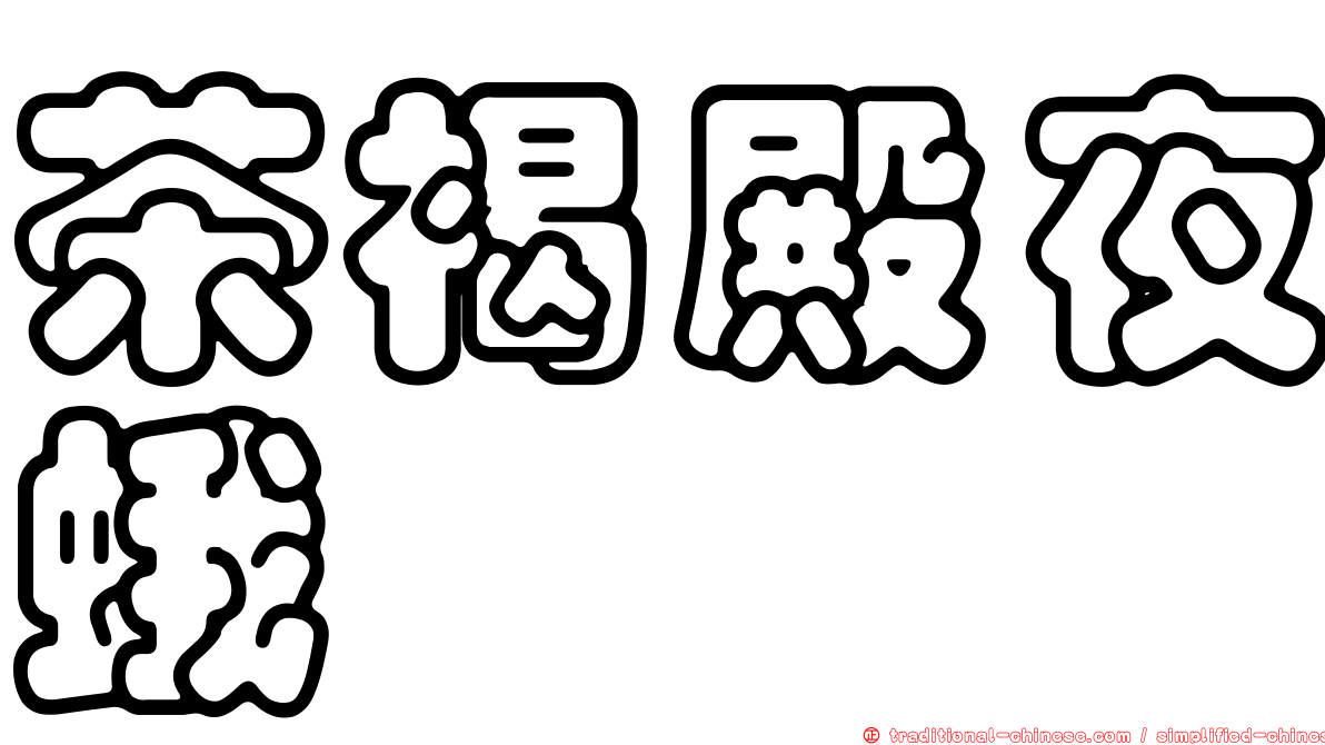 茶褐殿夜蛾