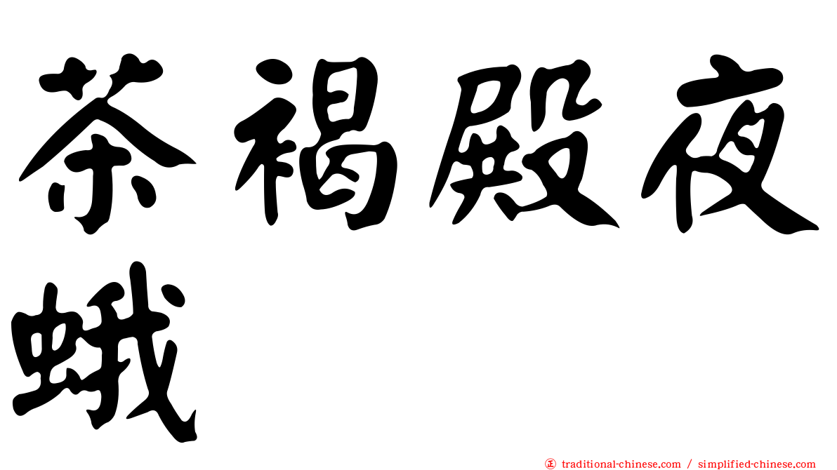 茶褐殿夜蛾