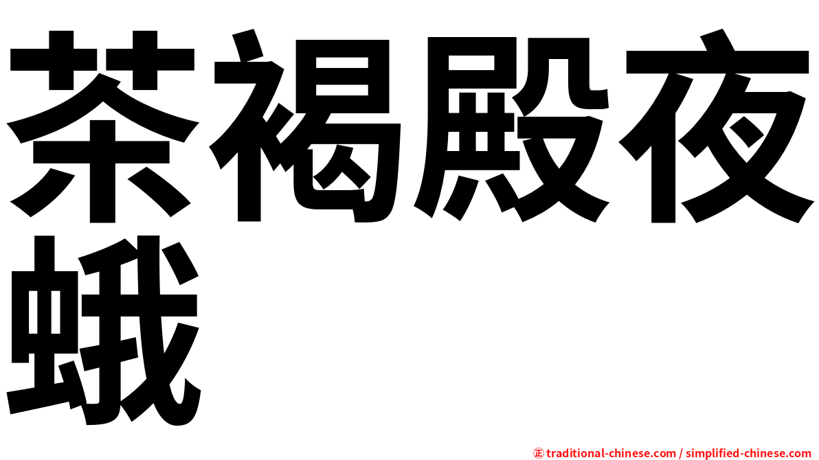 茶褐殿夜蛾