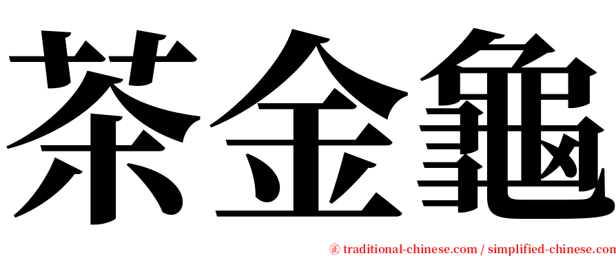 茶金龜 serif font