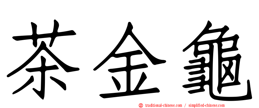 茶金龜