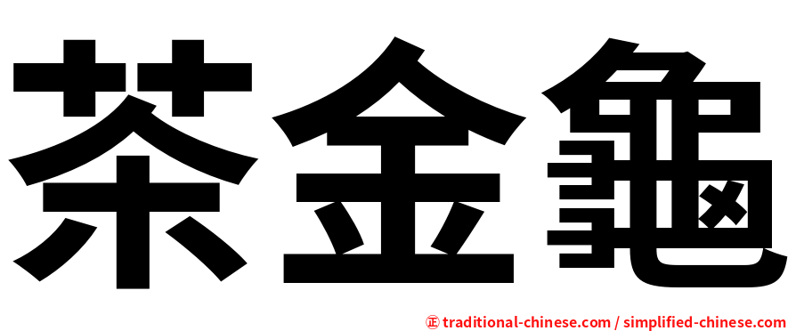 茶金龜