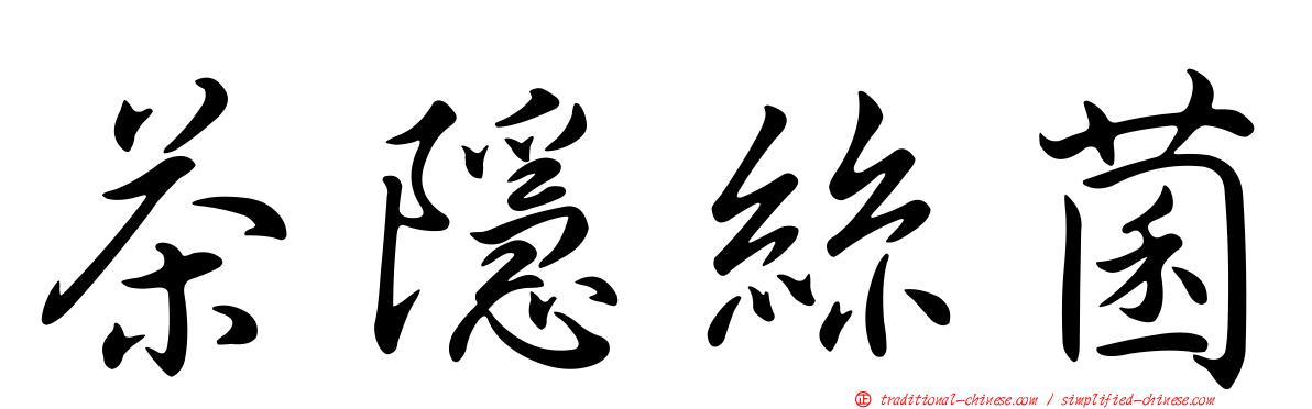 茶隱絲菌
