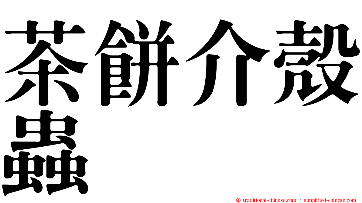 茶餅介殼蟲