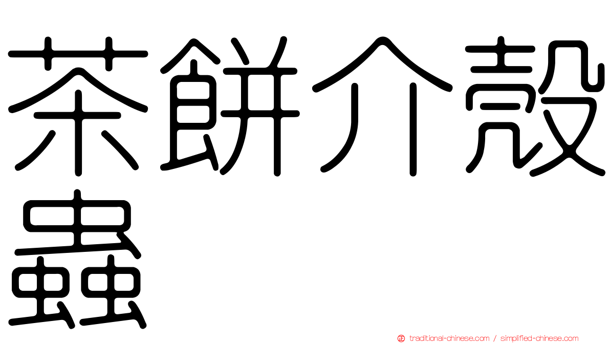 茶餅介殼蟲