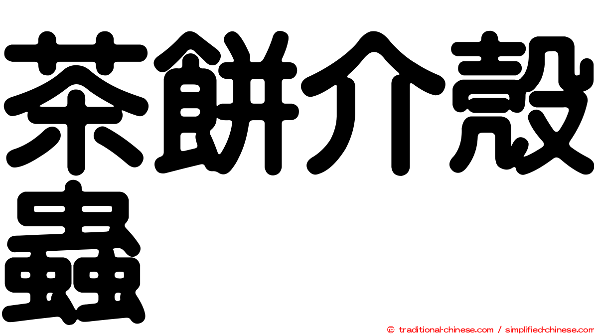 茶餅介殼蟲