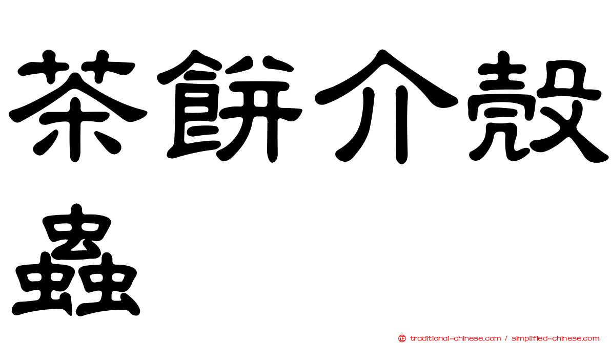 茶餅介殼蟲