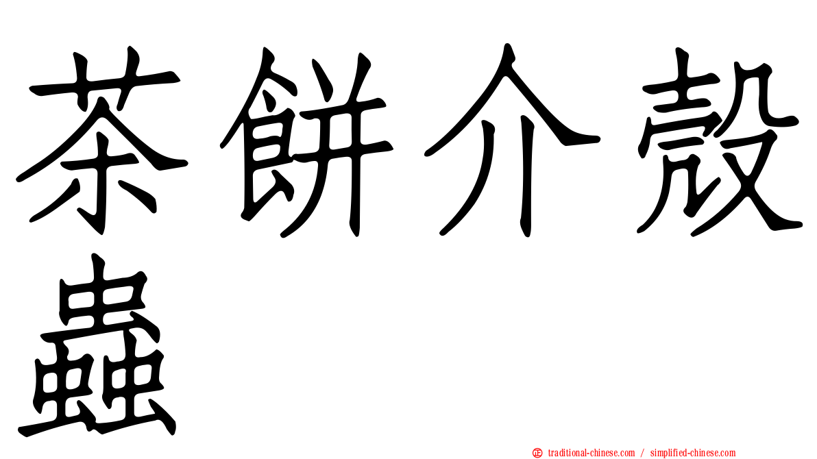 茶餅介殼蟲
