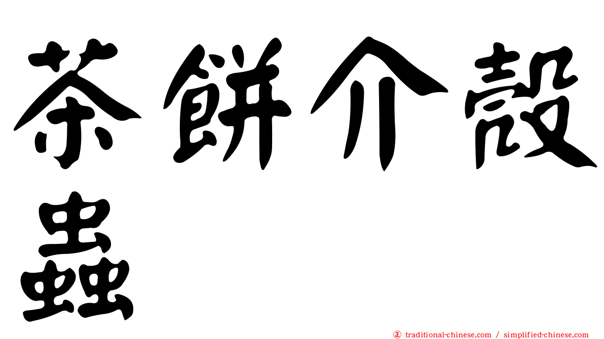 茶餅介殼蟲
