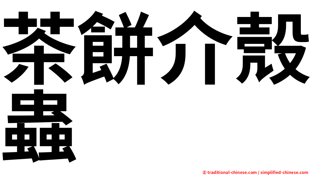 茶餅介殼蟲
