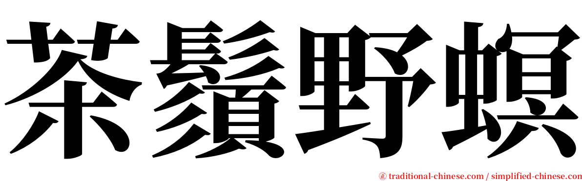 茶鬚野螟 serif font