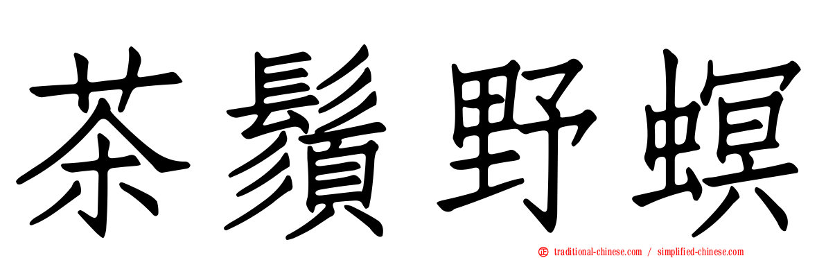 茶鬚野螟