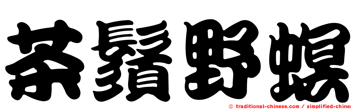 茶鬚野螟