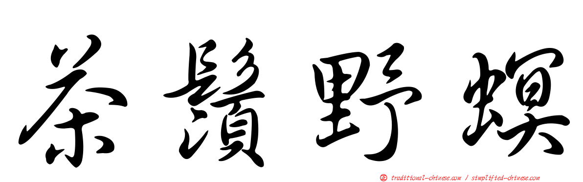 茶鬚野螟