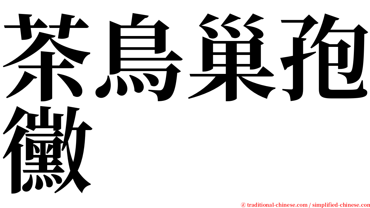 茶鳥巢孢黴 serif font
