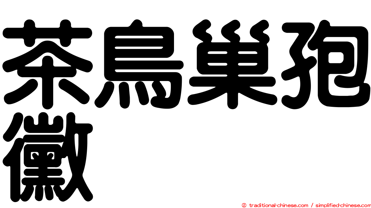 茶鳥巢孢黴