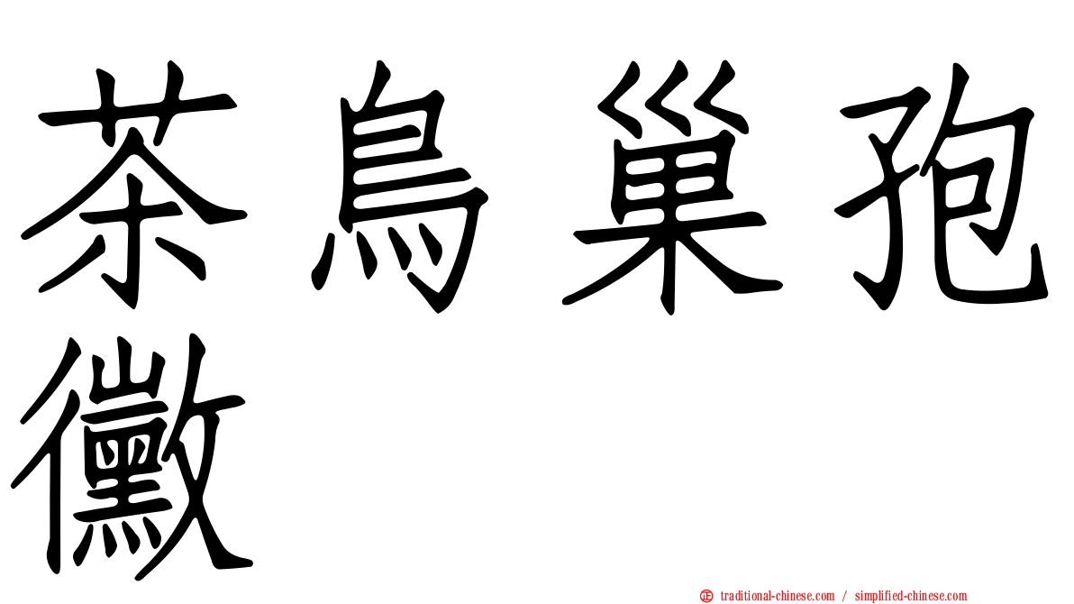 茶鳥巢孢黴