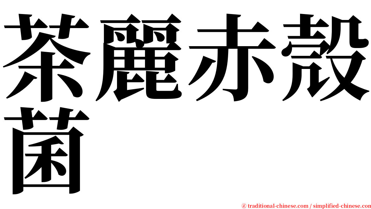 茶麗赤殼菌 serif font