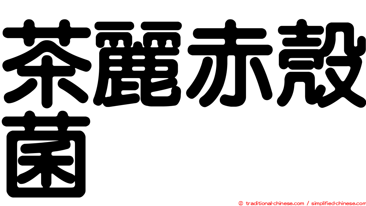 茶麗赤殼菌
