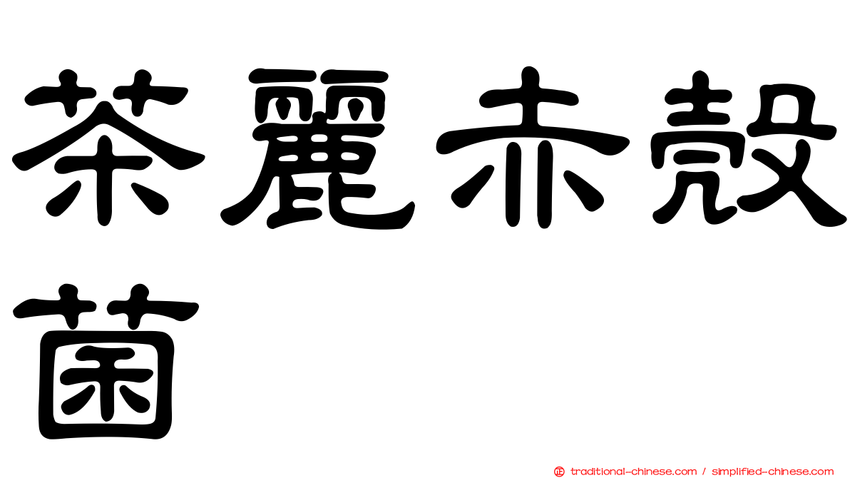 茶麗赤殼菌