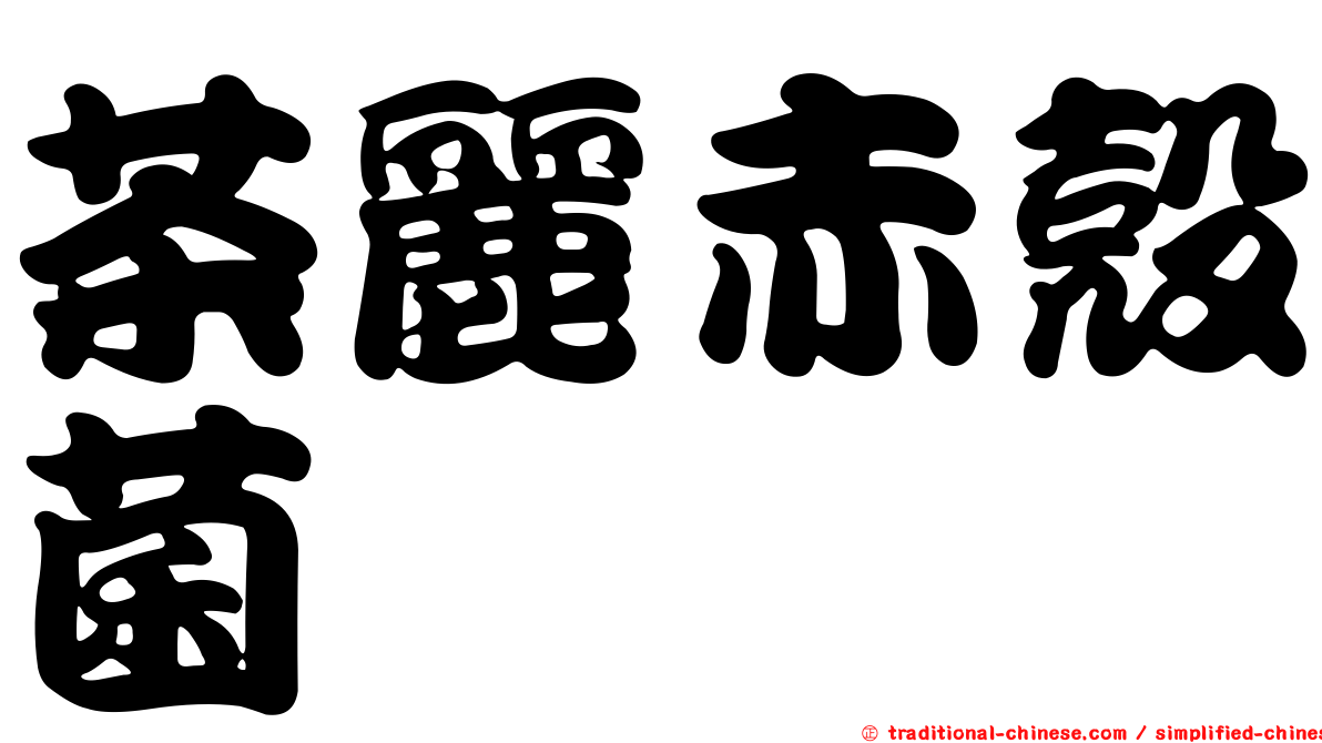 茶麗赤殼菌