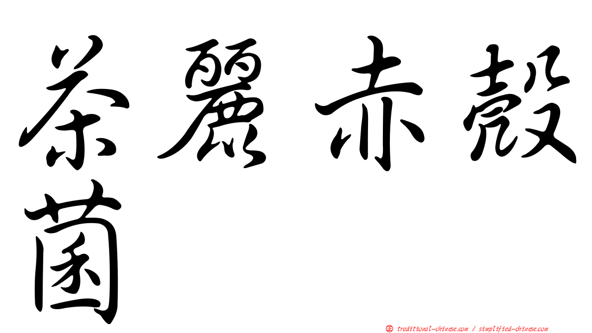 茶麗赤殼菌