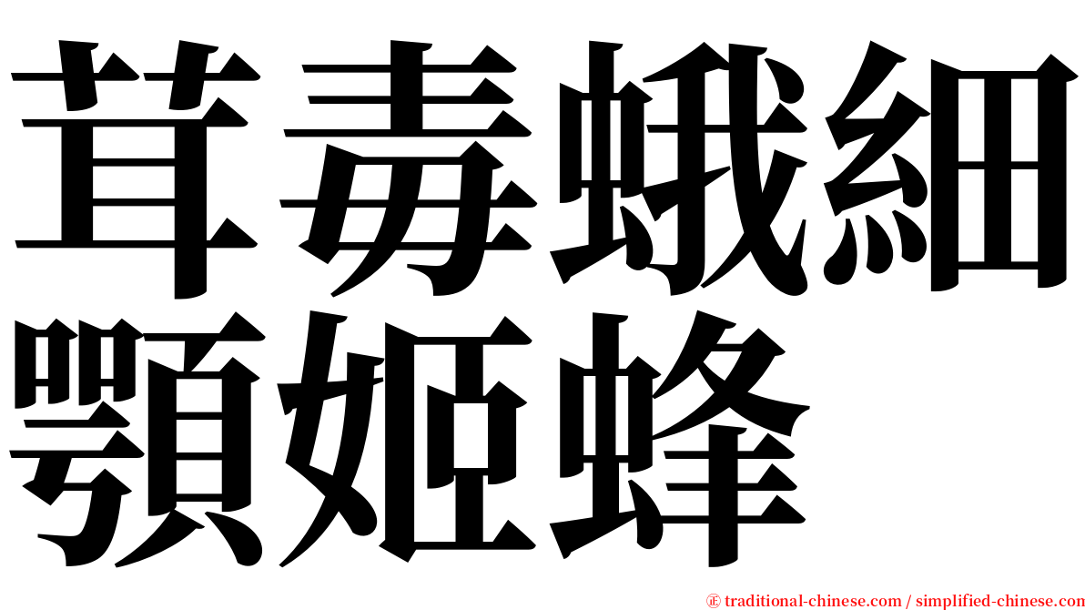 茸毒蛾細顎姬蜂 serif font