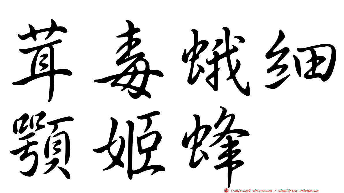 茸毒蛾細顎姬蜂