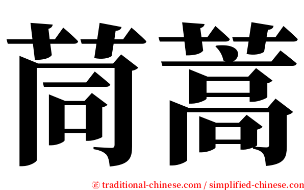 茼蒿 serif font