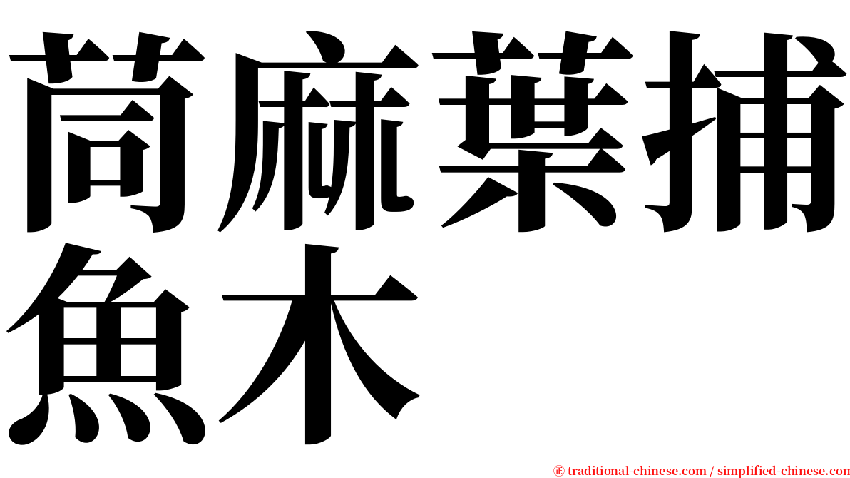 茼麻葉捕魚木 serif font
