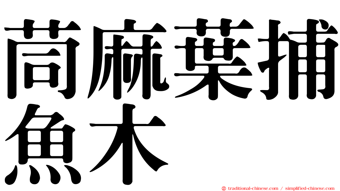 茼麻葉捕魚木