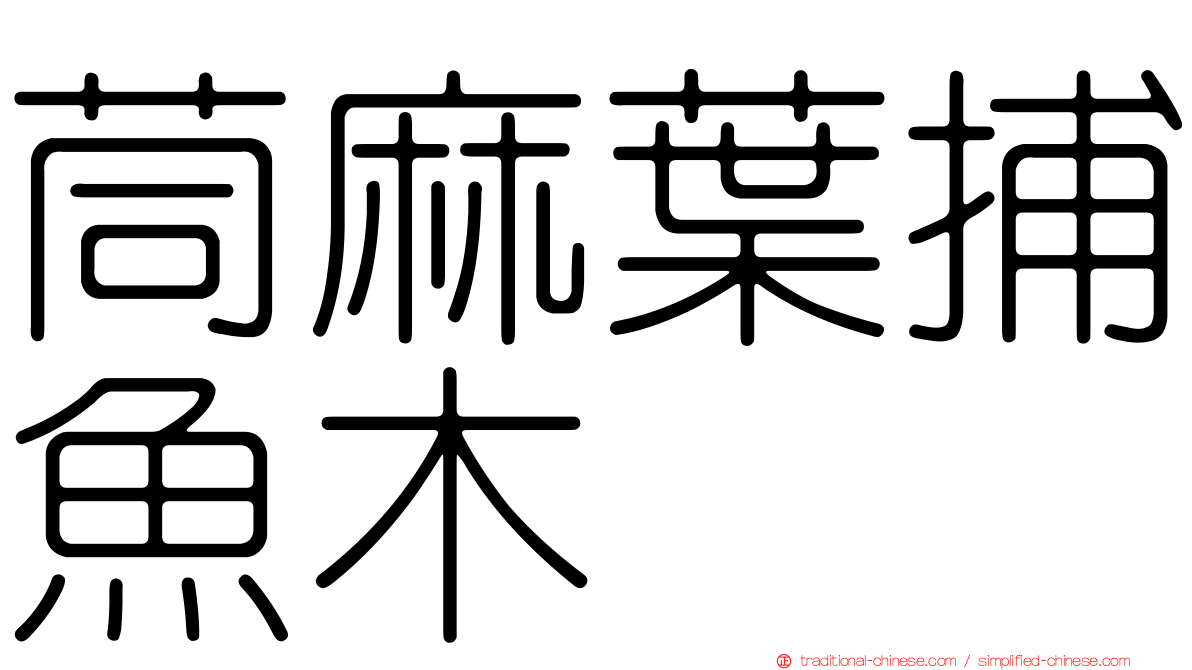 茼麻葉捕魚木