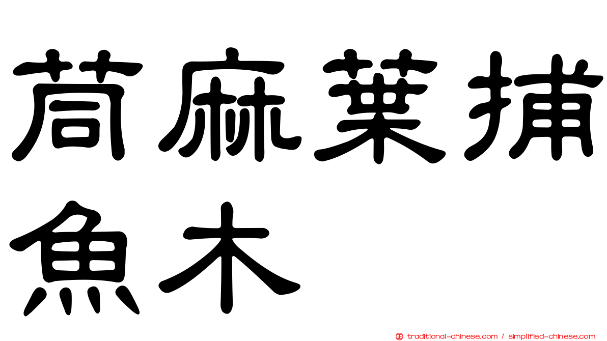 茼麻葉捕魚木