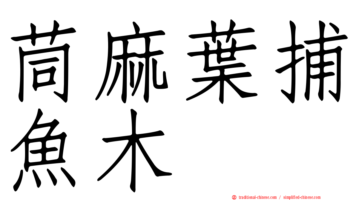 茼麻葉捕魚木