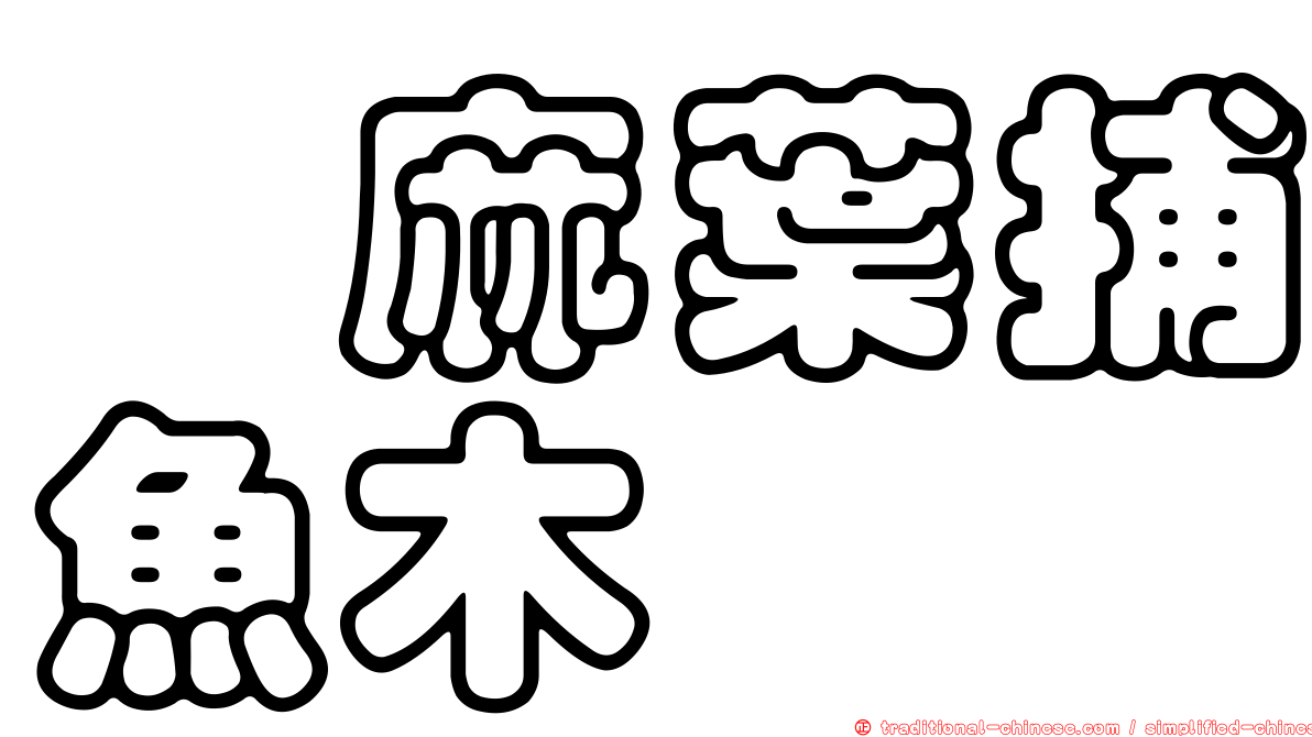 茼麻葉捕魚木