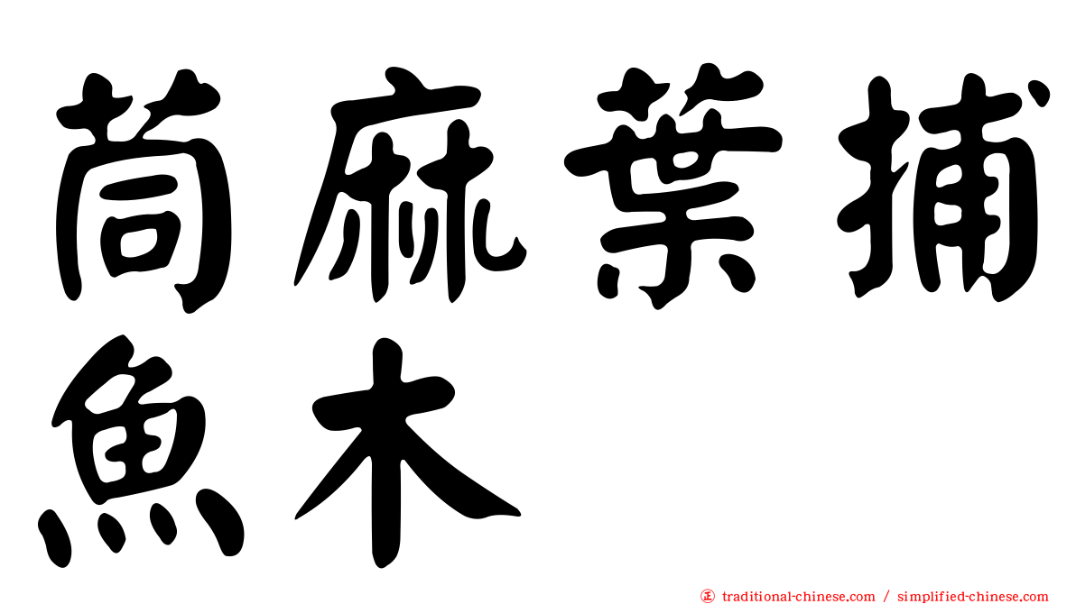 茼麻葉捕魚木
