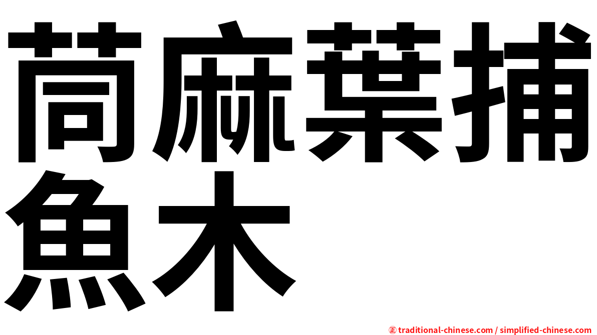 茼麻葉捕魚木