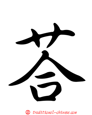 荅