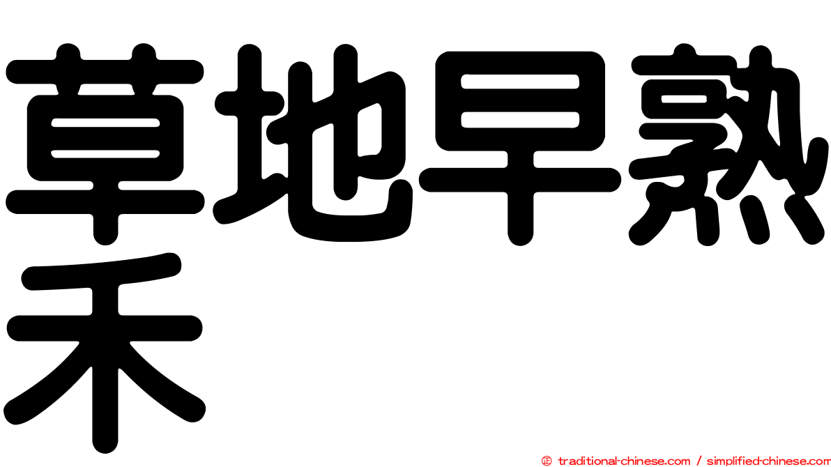 草地早熟禾