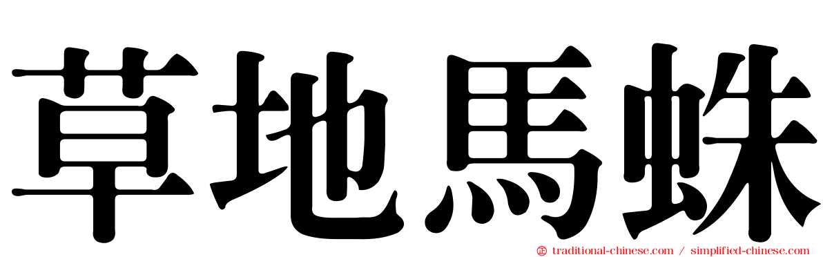 草地馬蛛