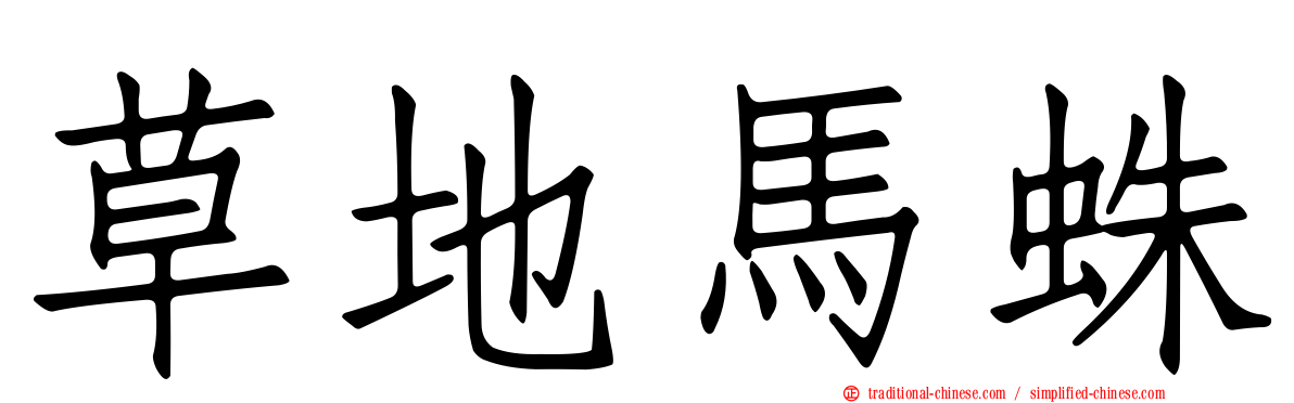 草地馬蛛