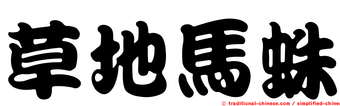 草地馬蛛