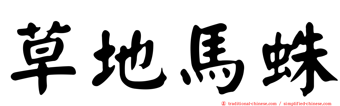 草地馬蛛