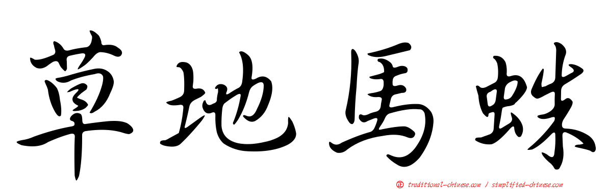 草地馬蛛