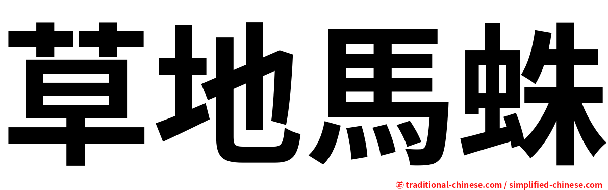 草地馬蛛