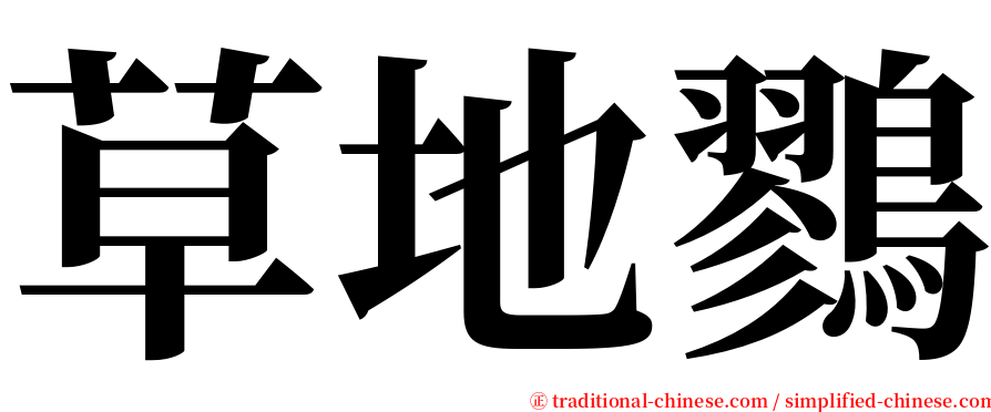 草地鷚 serif font