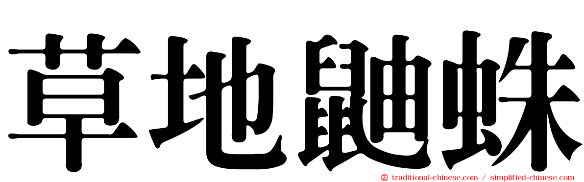 草地鼬蛛
