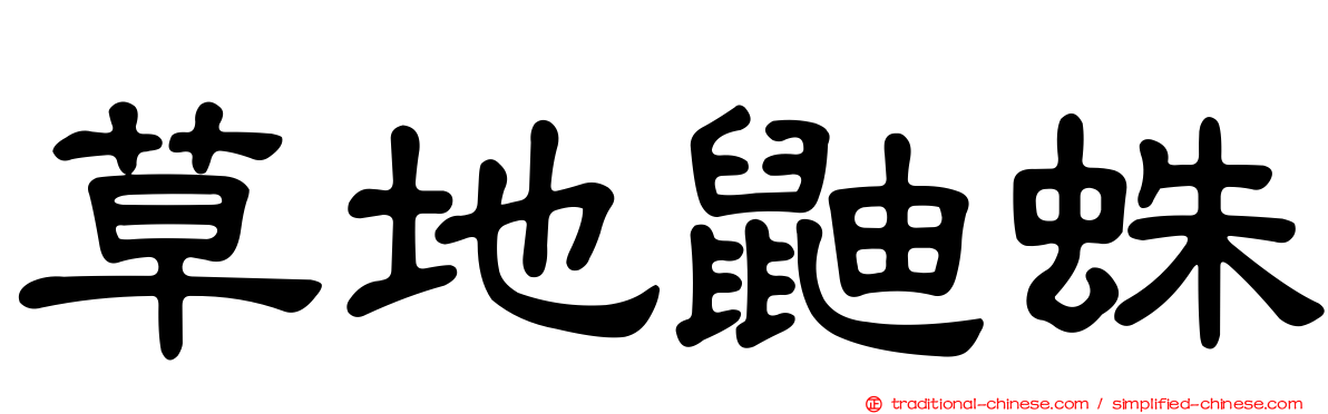 草地鼬蛛