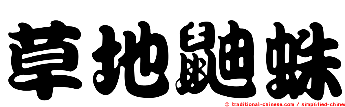 草地鼬蛛